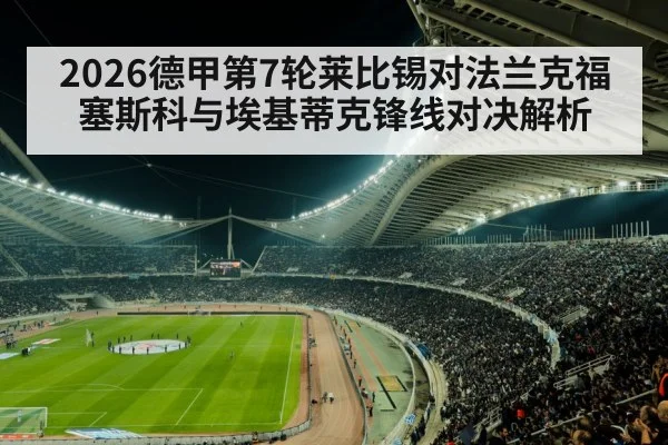 football stadium match crowd